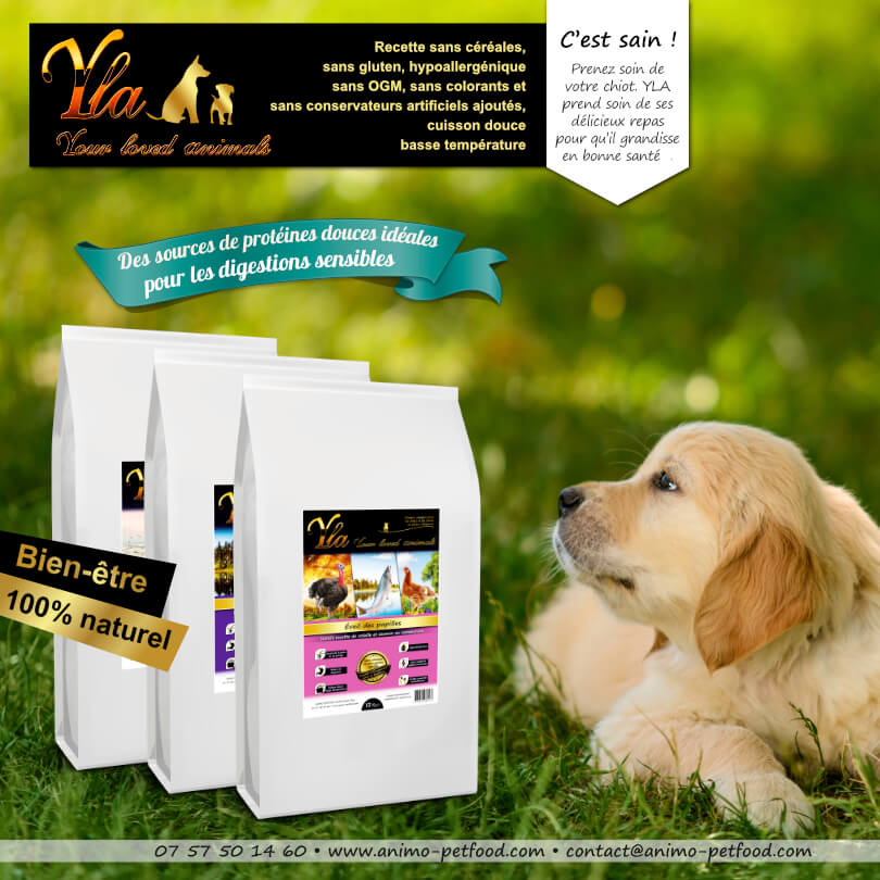 aliment-hypoallergenique-sans-cereale-pour-chiot